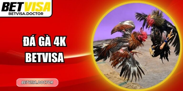 Cách Chơi Đá Gà 4K BetVisa Và Đọc Tỷ Lệ Kèo Hiệu Quả 3 Cách Chơi Đá Gà 4K BetVisa Và Đọc Tỷ Lệ Kèo Hiệu Quả