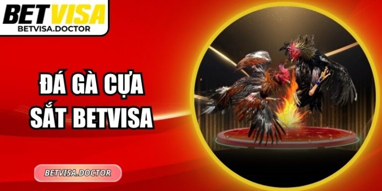 Đá Gà Cựa Sắt BetVisa: Mẹo Quan Sát Chiến Kê Và Đặt Cược 2 Đá Gà Cựa Sắt BetVisa: Mẹo Quan Sát Chiến Kê Và Đặt Cược