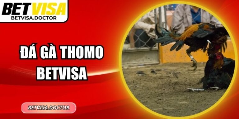 Đá Gà Thomo BetVisa – Cược Trực Tiếp Sống Động, Thắng Lớn 5 Đá Gà Thomo BetVisa – Cược Trực Tiếp Sống Động, Thắng Lớn