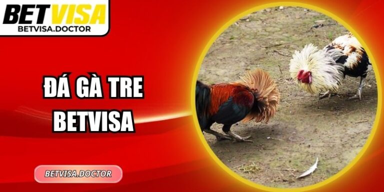 Đá Gà Tre BetVisa – Bí Quyết Cược Thông Minh Và Thắng Lớn