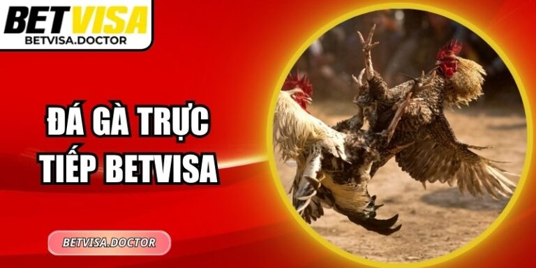 Đá Gà Trực Tiếp BetVisa – Trải Nghiệm Cược Sống Động Tại Nhà 6 Đá Gà Trực Tiếp BetVisa – Trải Nghiệm Cược Sống Động Tại Nhà