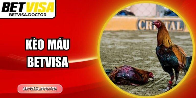 Kèo Máu BetVisa: Trải Nghiệm Cá Cược Đá Gà Kịch Tính 1 Kèo Máu BetVisa: Trải Nghiệm Cá Cược Đá Gà Kịch Tính